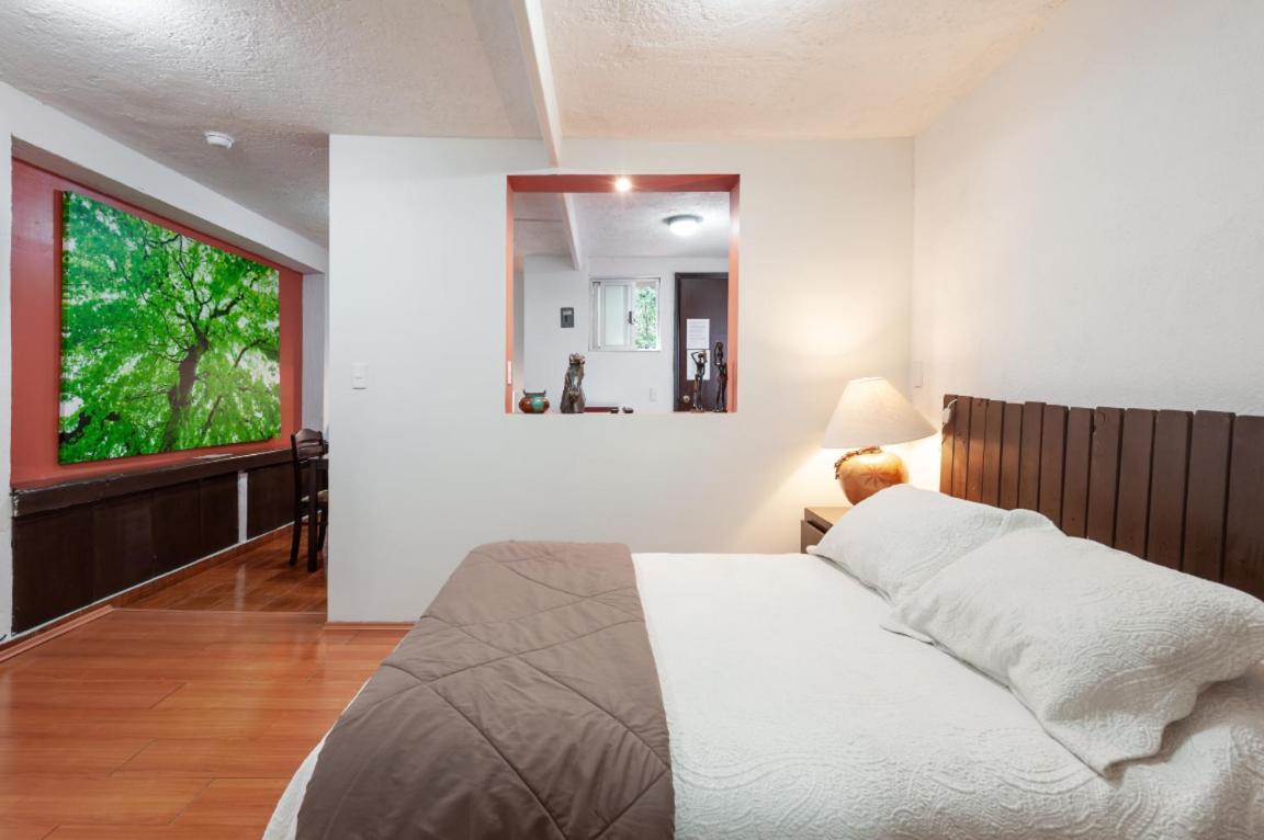 Suite 5A, Altavista, Garden House, Welcome to San Angel Città del Messico Esterno foto