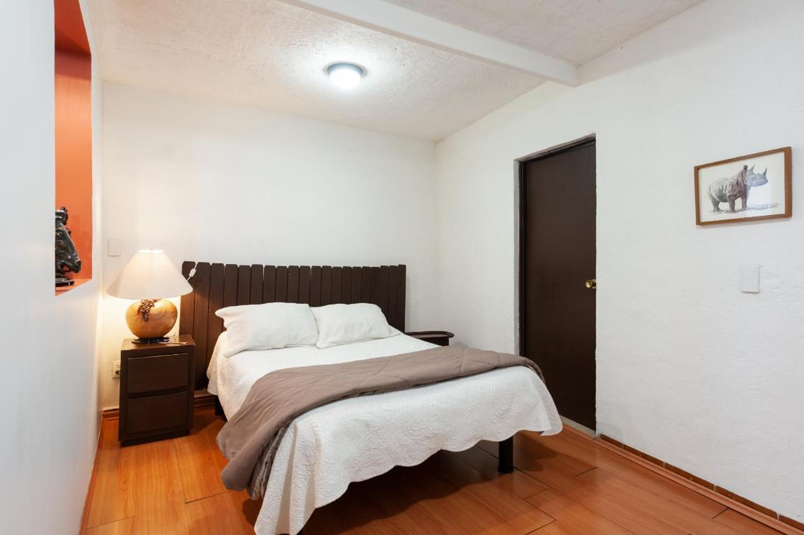 Suite 5A, Altavista, Garden House, Welcome to San Angel Città del Messico Esterno foto
